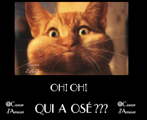 clin d'oeil