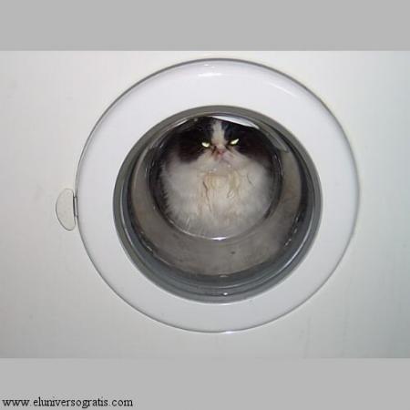 chat alors!