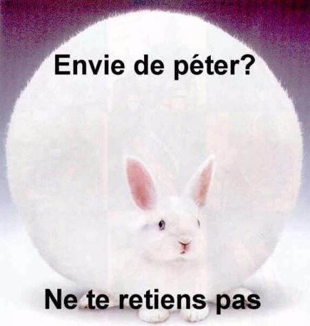 laisse toi allez