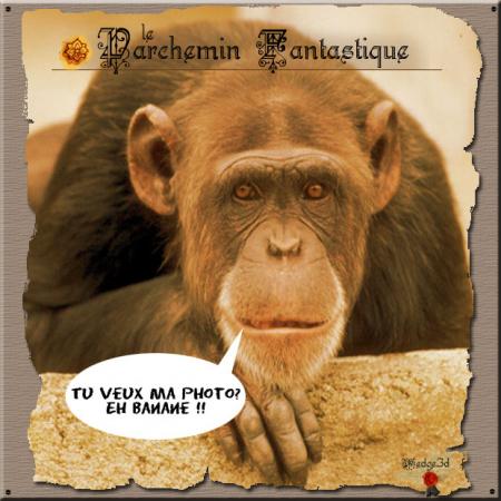 tu veux ma photo ?