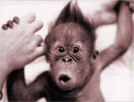 il est pas mignon ?